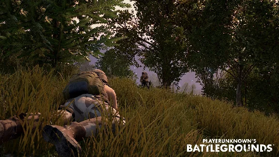 PLAYERUNKNOWN´S BATTLEGROUNDS STEAM  REG FREE