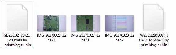 Dumps chips Canon MG6640 printer to reset 5B00