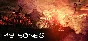 My Bones (Steam key/Region free) Trading Cards
