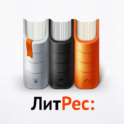 LitRes discount of 50% for 24 hours and 2 free books to