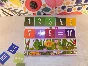 The mathematical suitcase "Masha and the Bear"