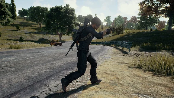 PLAYERUNKNOWN´S BATTLEGROUNDS (Steam Gift RU)