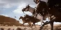 Battlefield 1 [LIFETIME GUARANTEES] + DISCOUNTS