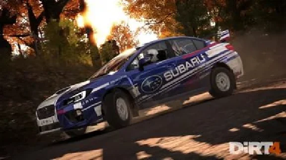 DiRT 4  (Steam KEY/Global)