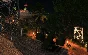 Beasts of Prey (Steam Gift Region Free / ROW)