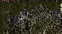 Commandos: Behind Enemy Lines (Steam Gift/RU+CIS)