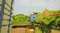 Tacopocalypse ( Steam Key / Region Free ) GLOBAL
