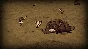Dont Starve Together (Steam | Region Free)