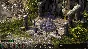 Pillars of Eternity (Steam Gift/ROW/Region Free)HB link