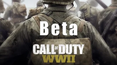 Call of Duty WORLD WAR 2 WW2 BETA Private Access PS4