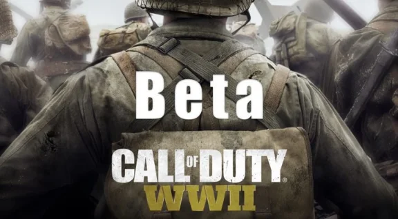 Call of Duty WORLD WAR 2 WW2 BETA Private Access PS4