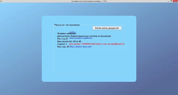 Information systems in the economy for the Test Client