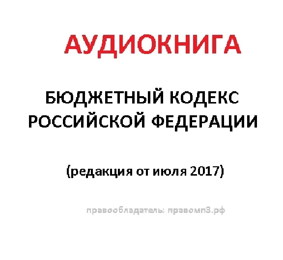 Audiobook Budget Code of the RF(in ed.2017) male voice