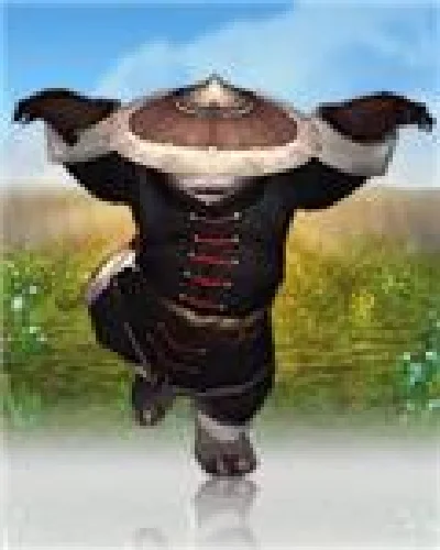 Pandaren Monk Pet-Pandaren Monk (RU / EU) code right