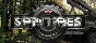 Steam account Spintires