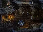 Robin Hood: The Legend of Sherwood (Steam Gift ROW)