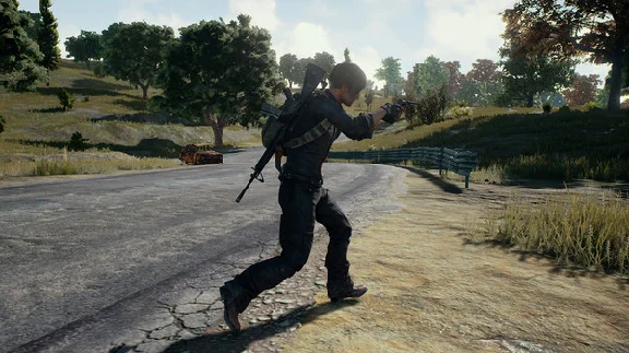 PLAYERUNKNOWN´S BATTLEGROUNDS STEAM GIFT RU +ПОДАРОК