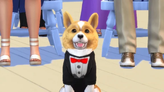 👻The Sims 4: Кошки и Собаки (EA App/Весь Мир)