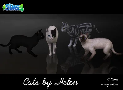 👻The Sims 4: Кошки и Собаки (EA App/Весь Мир)