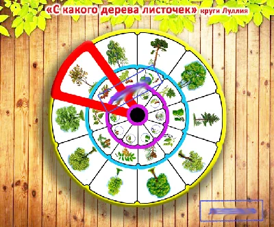 rom which leaf tree?" Circles Lullia el. Layouts