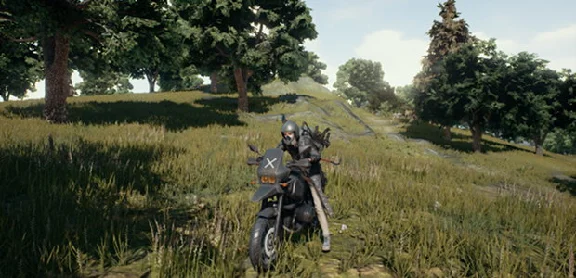 PLAYERUNKNOWN´S BATTLEGROUNDS (GLOBAL) Steam Key (PUBG)