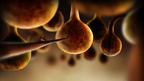 Botanicula 🔑STEAM KEY 🌎GLOBAL
