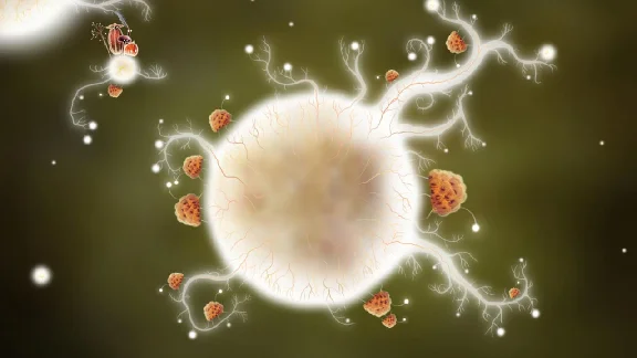 Botanicula 🔑STEAM KEY 🌎GLOBAL