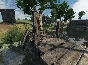 Mount & Blade (STEAM GIFT / RU/CIS) 🚀