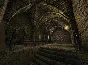 Mount & Blade 🔑STEAM КЛЮЧ 🔥РОССИЯ + МИР