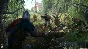 Kingdom Come: Deliverance * STEAM Russia 🚀 AUTO