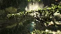 ARK: Aberration -Expansion Pack DLC |Steam Gift| RUSSIA