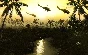 Men of War: Vietnam - Special Edition 🔑STEAM✔️РФ+МИР