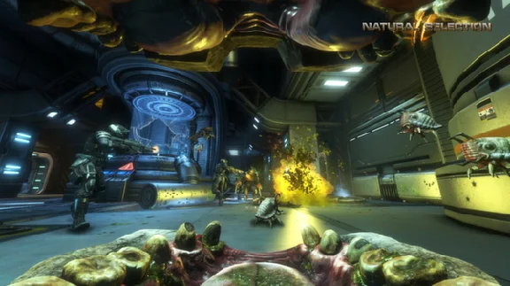 Natural Selection 2 (steam gift/ru+cis)