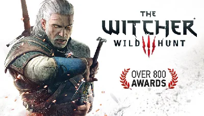The Witcher 3: Wild Hunt (STEAM GIFT | RU)