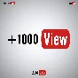 YouTube views / likes / reposts