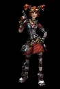 Borderlands 2: Mechromancer Pack Steam DLC Region free