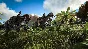 ARK: Survival Evolved * RU/KZ/CIS/TR/AR * STEAM 🚀 AUTO