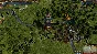 Europa Universalis IV: Evangelical Union Unit Pack DLC