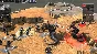 Endless Legend - Classic Edition 🔑STEAM KEY 🌎GLOBAL