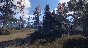 RUST (РАСТ) RU,UA - подарок/gift