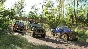 FORZA HORIZON 3 (PC / XBOX ONE) | +ПОДАРОК