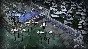 Dont Starve Together (Steam Gift RU, CIS)