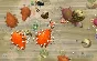 SPORE (ORIGIN KEY / REGION FREE)