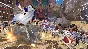 One Piece Pirate Warriors 3 Gold Edition (Steam)
