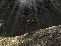 AquaNox 2 Revelation (Steam key)