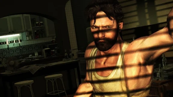 Max Payne 3 (steam key)