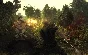 Risen (steam key) -- RU