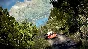 WRC 7 (steam key)