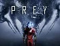 Prey (steam key)