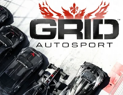 Grid Autosport (steam key)